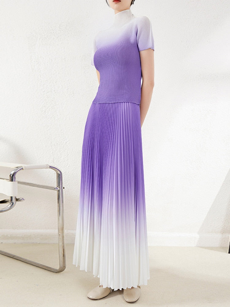 Pleated Gradient Elastic Waist Top & Skirt Co-ord Set for Women