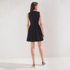 Black Slim-Fit V-Neck Mini Dress